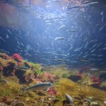 Photo taken by Sarah B