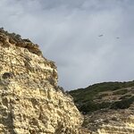 Photo taken by Patricia F