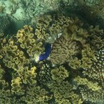 Photo taken by Julie H