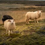 Photo taken by Jane V