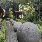 Photo taken by Erika M