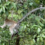 Photo taken by Rob C