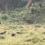 Photo taken by Meenakshi B