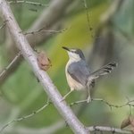 Photo taken by Graham D