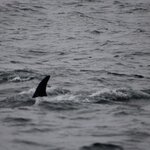 Photo taken by Amanda Z