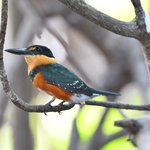 Photo taken by Graeme W