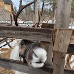 Photo taken by chelsea t