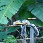 Photo taken by Kristen L