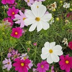 Photo taken by Mariah M