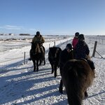 Horse Riding  | Photo taken by Shannon C