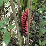 Photo taken by Blair H