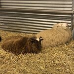 Photo taken by Paula M