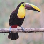 Photo taken by Jayme B