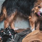 Photo taken by timothy m