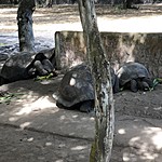 Photo taken by Meggan M