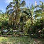 Photo taken by Juliette S