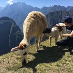 Machu picchu | Photo taken by Danica P