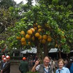 Photo taken by Brian C