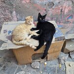 Photo taken by Mike K