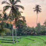 Photo taken by Kim G