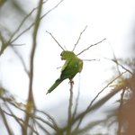 Photo taken by Graeme W