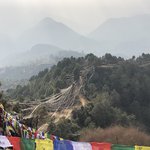 Photo taken by Terje R