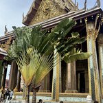 Photo taken by Jose C