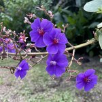 Photo taken by Alexia M