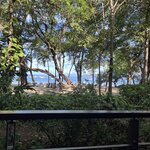 Photo taken by Jaya C