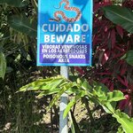 Photo taken by JULIE M