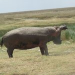 Photo taken by Kristin M