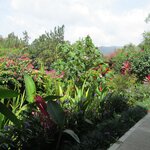 Photo taken by John N