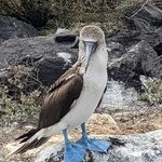 Photo taken by Jennifer A