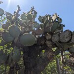 Photo taken by mimi s