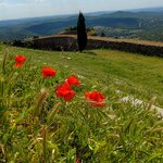 Photo taken by Debbie W