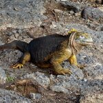 Photo taken by Joseph P