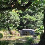 Photo taken by Ayesha A