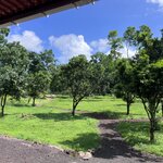 Photo taken by Norma G