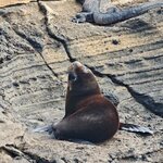 Photo taken by Richard P