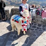 Photo taken by Maureen M