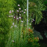 Photo taken by Brett F