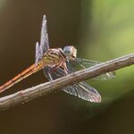 Photo taken by Sushma S