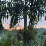 Photo taken by Fuad A