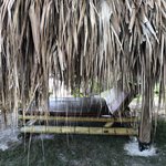 Photo taken by Juliette S