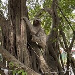 Photo taken by Robert M