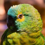 Photo taken by Dennis H