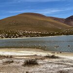 Photo taken by Lisa K