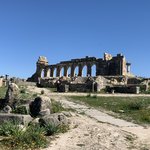 Photo taken by Kaylyn E