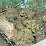 Photo taken by Jacqui O