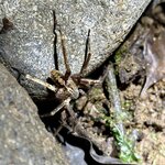 Photo taken by Jeffrey B